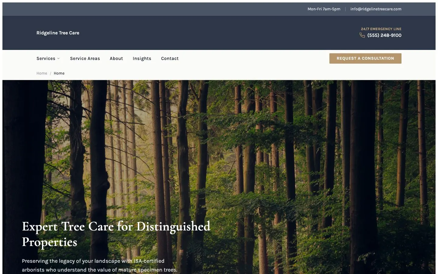 Ridgeline design on a laptop, sample site for Ridgeline Tree Care