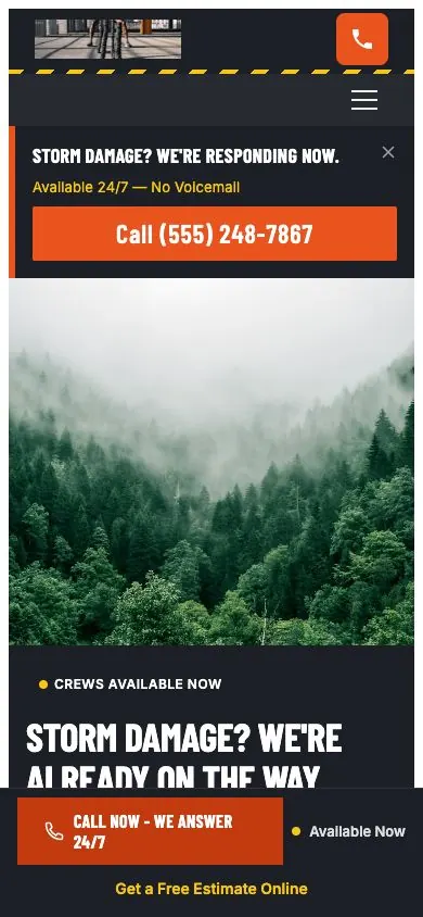 Stormready design on a phone, sample site for StormReady Tree Services