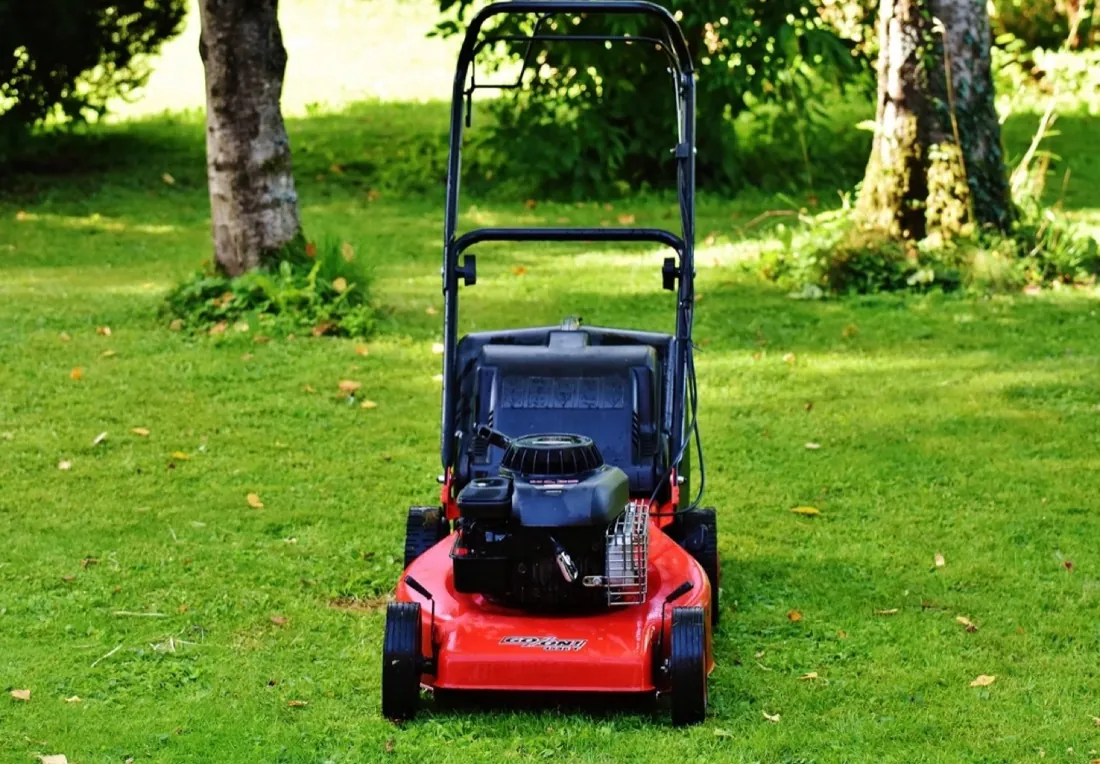 A lawn mower on a freshly cut lawn